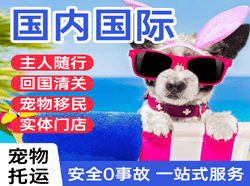 梧州西江航空快运国际宠物托运 【国